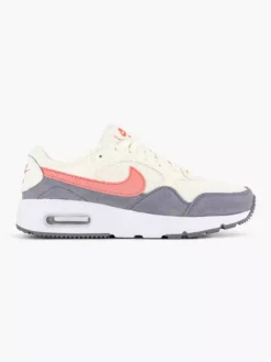 Nike Grijze Air Max